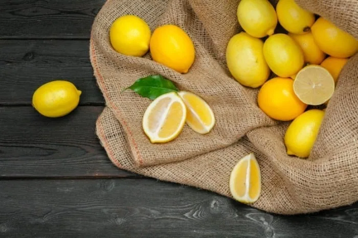 جنین در هفته 11