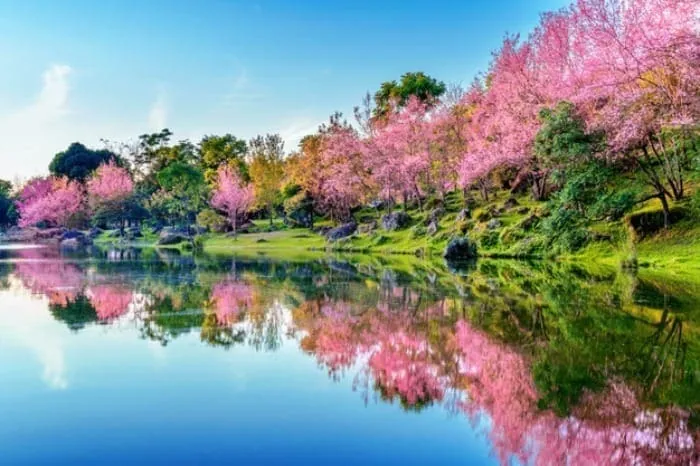 دلنوشته