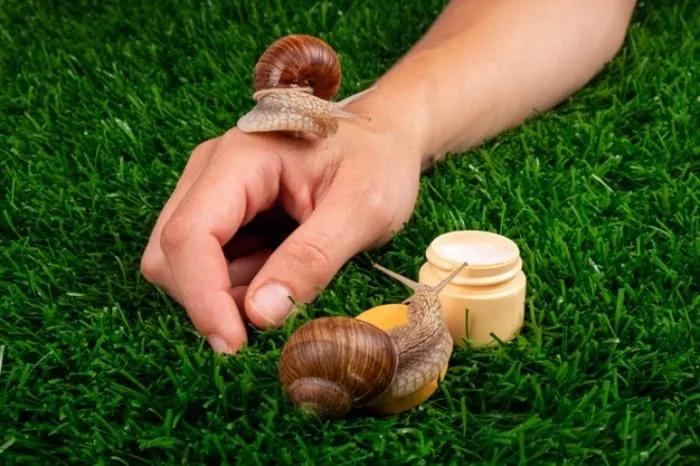 حلزون درمانی 