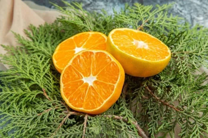 خواص آب نارنج