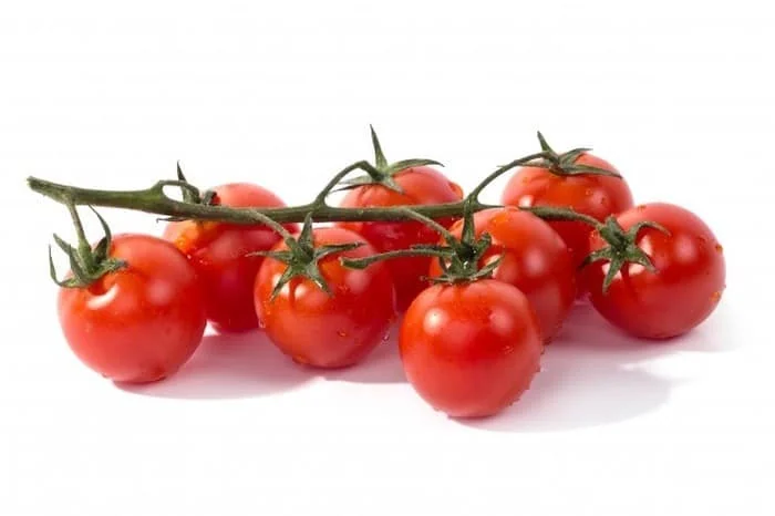 بذر گیری گوجه فرنگی