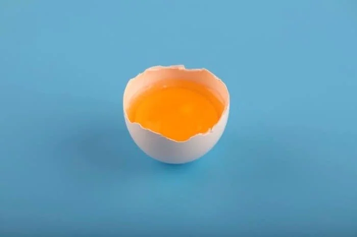 زرده تخم مرغ