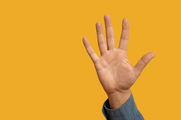 انگشتان دست