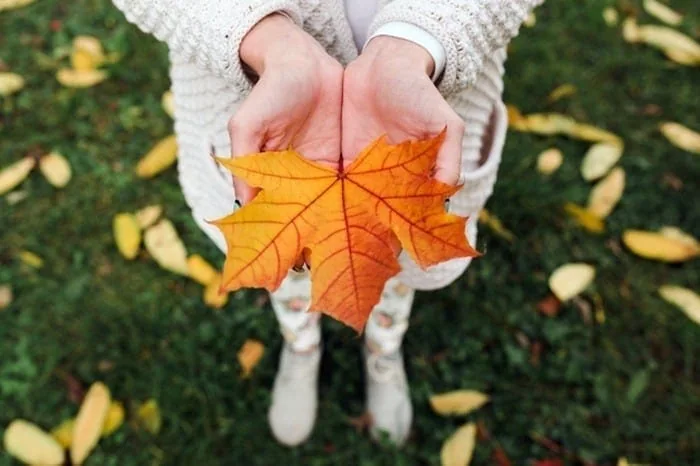 عکس پروفایل پاییزی