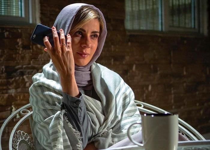 فیلم حرفه ای