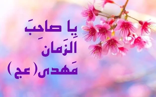 ولادت حضرت مهدی
