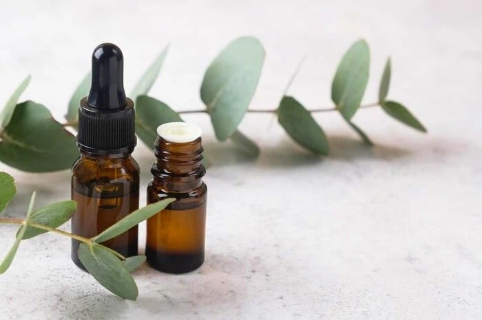 روغن اکالیپتوس
