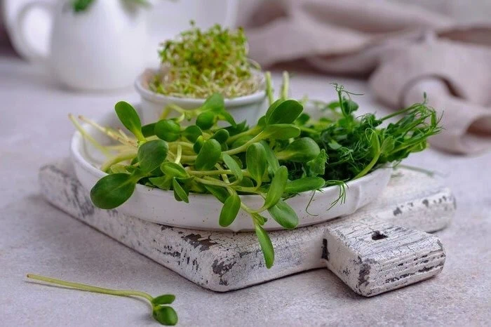 فواید یونجه