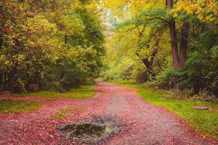 عکس خفن عکس جاده پاییز