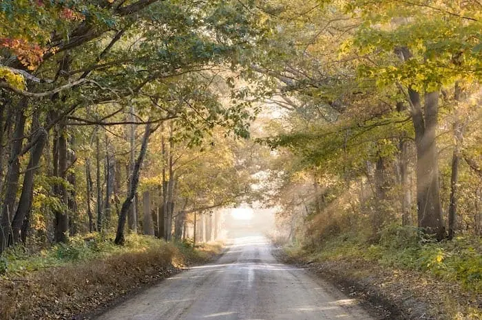 عکس جاده پاییز