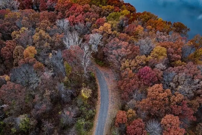 عکس خفن عکس جاده پاییز
