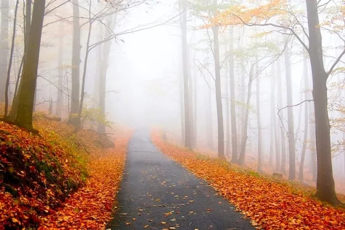 عکس خفن عکس جاده پاییز