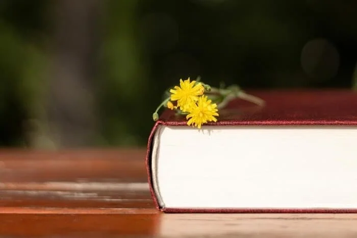 شعر سعدی