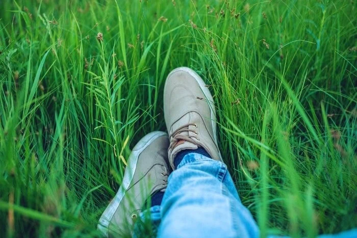 پیاده روی با پای برهنه 