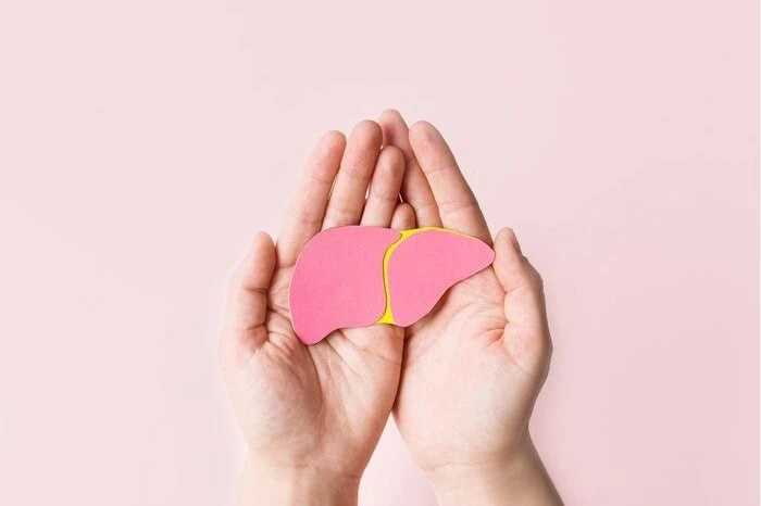 زرده تخم مرغ برای کبد