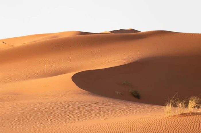 معروفترین صحراها