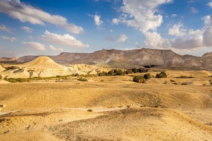 صحراهای جهان