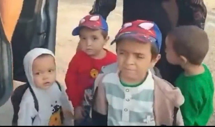 کار خطرناک