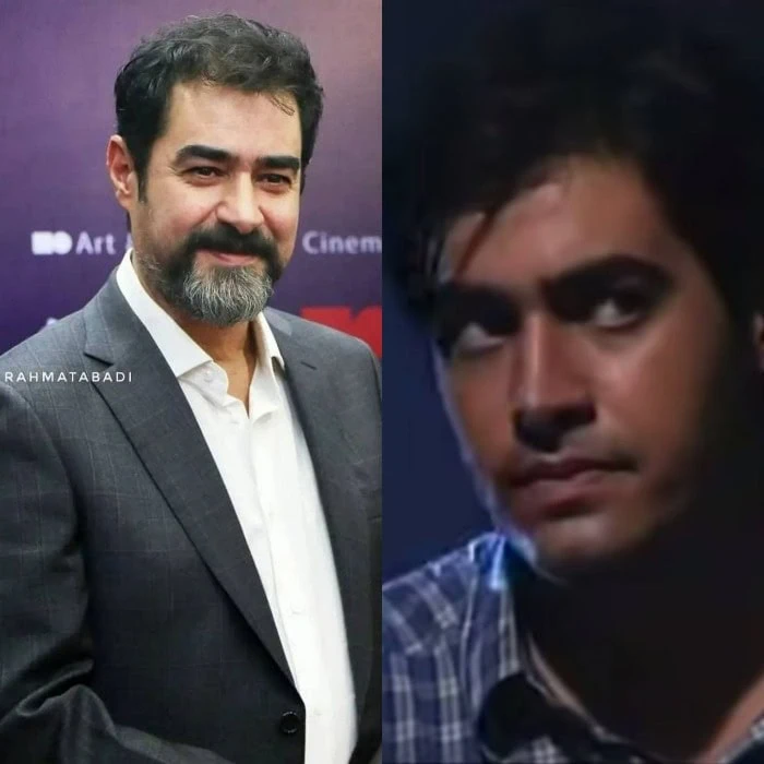 شهاب حسینی