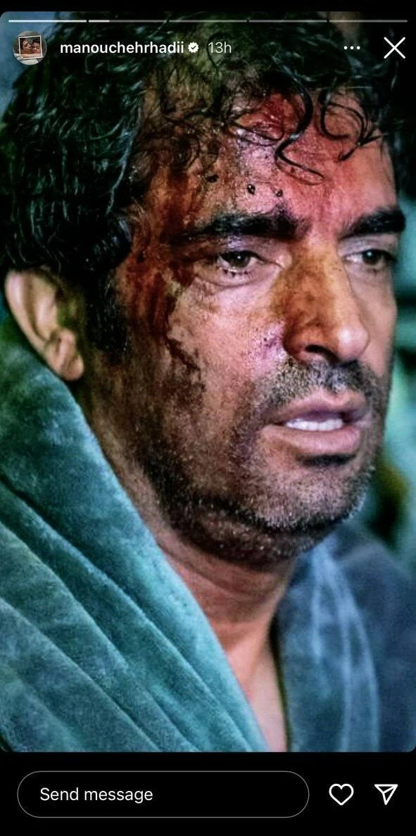 منوچهر هادی