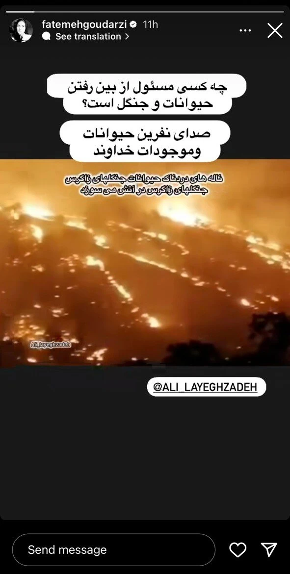 فاطمه گودرزی