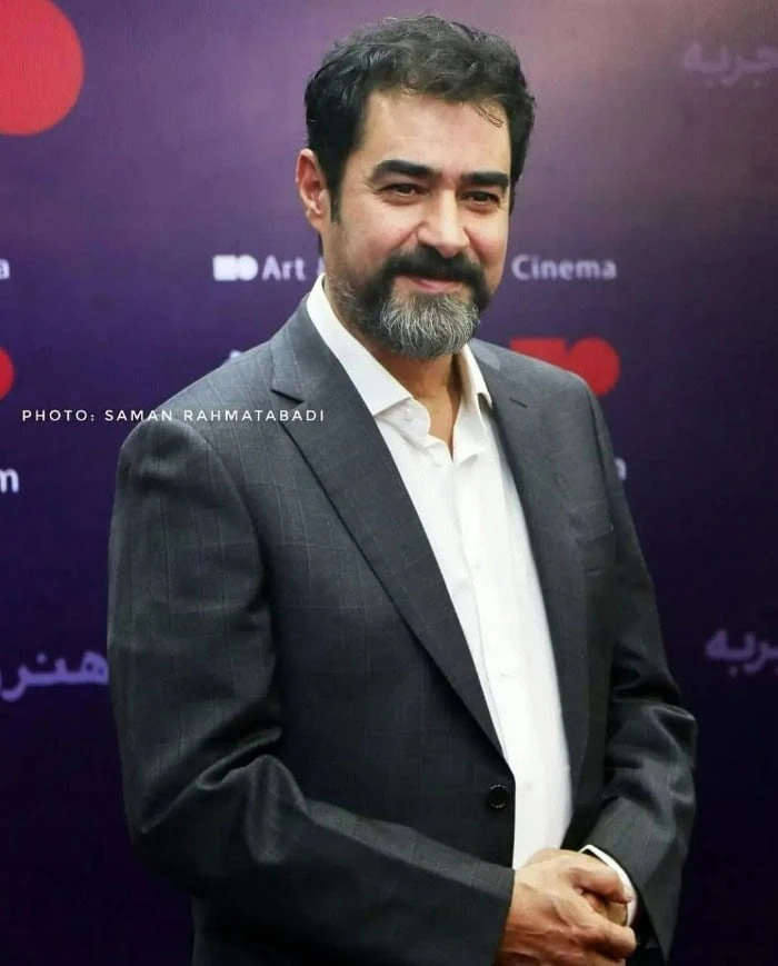 شهاب حسینی
