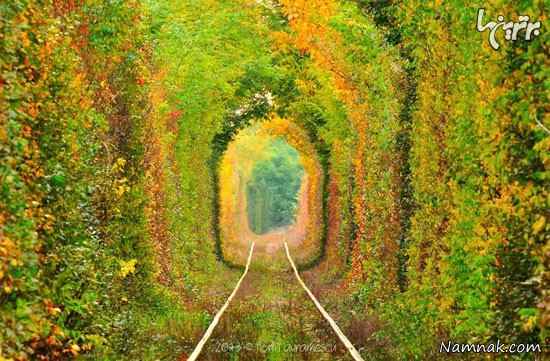 تونل عشق پر از درخت