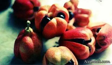 غداهای خارجی که خوردنشان ریسک دارد