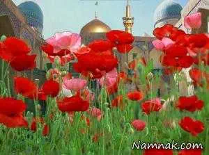 پیشگیری از بیماری