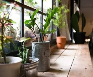 تصفیه هوای خانه
