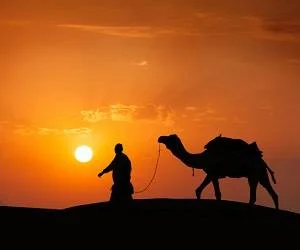 شب کویر