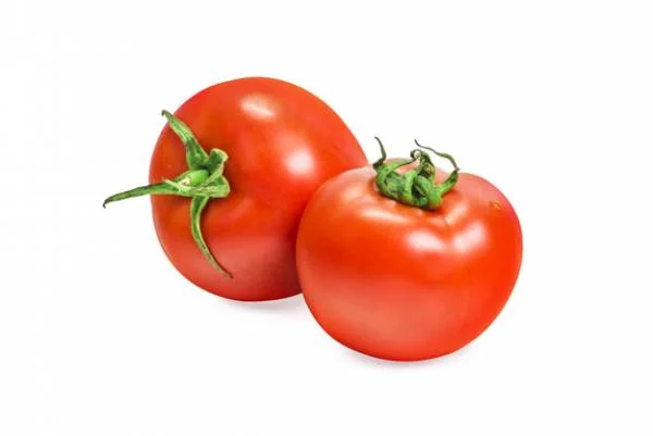 گوجه فرنگی