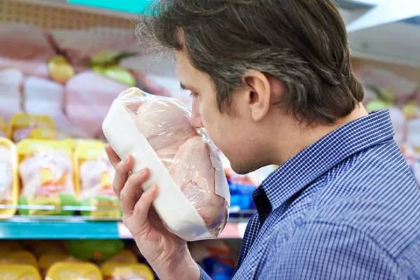 تشخیص سالم بودن مرغ