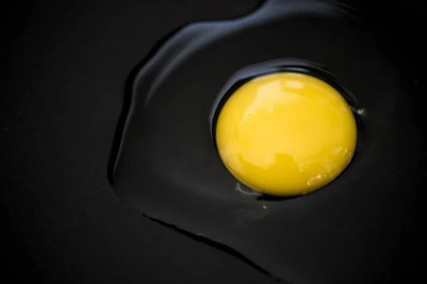 زرده تخم مرغ