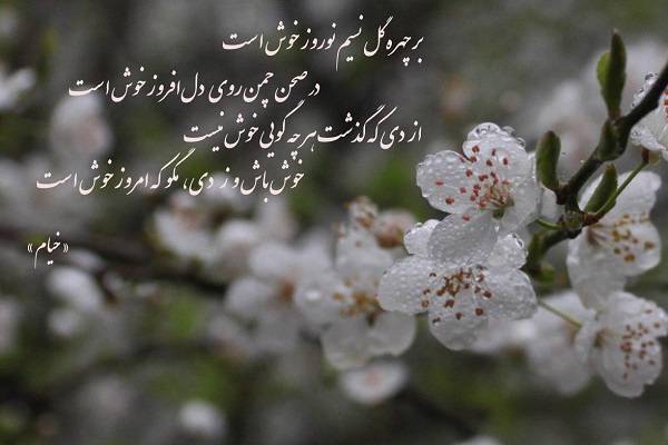 شعر خیام