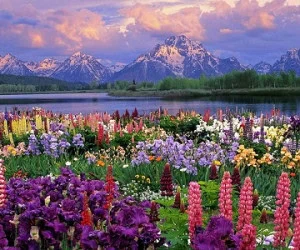 جاهای دیدنی ایران در بهار