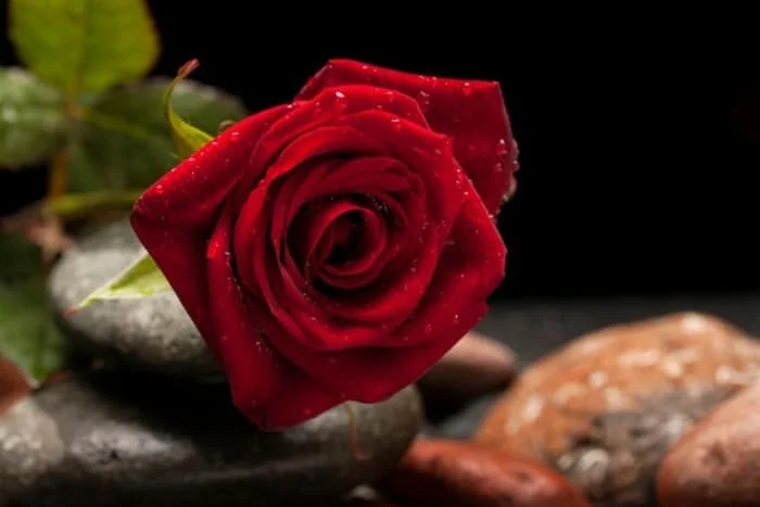 شعر حافظ