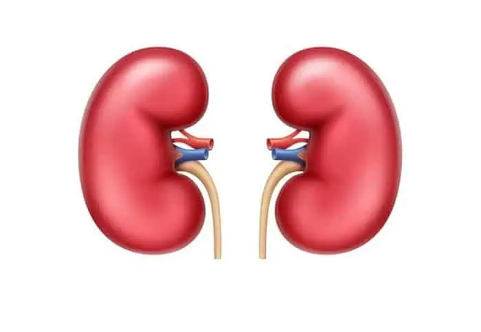 عمل پیوند کلیه