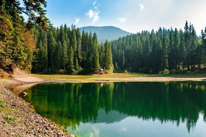 انگل رودخانه