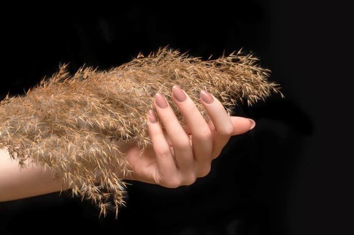 شخصیت شناسی لاک قهوه ای لاک قهوه ای