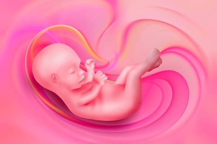 سقط جنین با دارچین