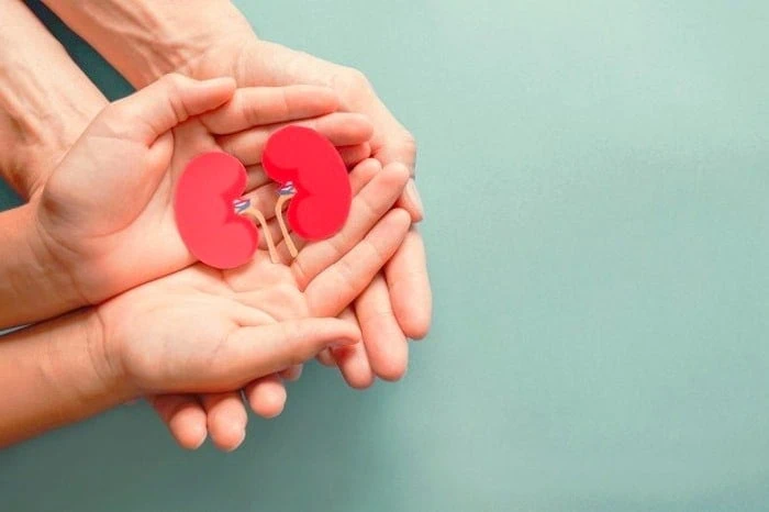 فواید خیار برای سیستم کلیوی 