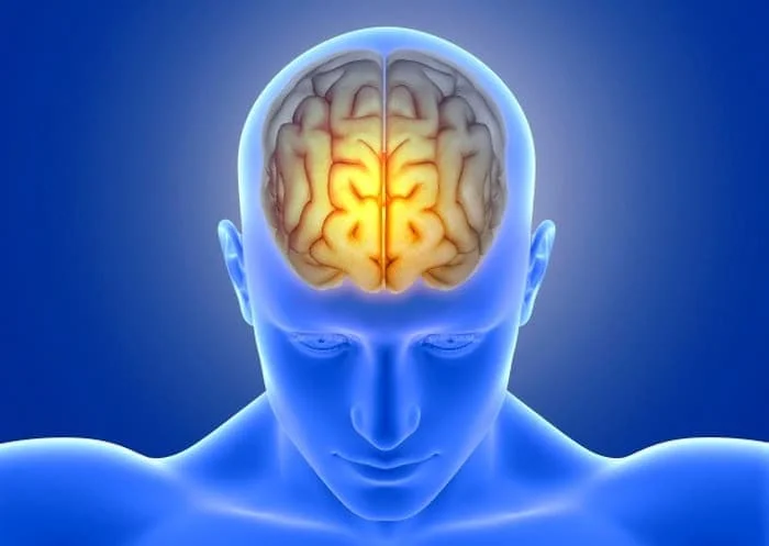 مرگ مغزی