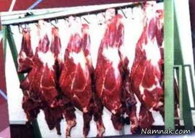 گوشت الاغ
