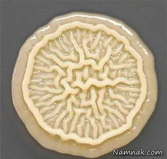 میکروب های پوست 