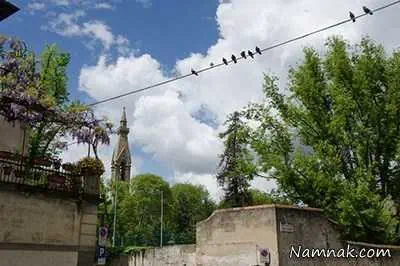 عکاسی در سفر