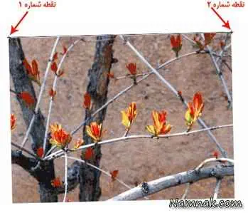 صاف کردن عکس 