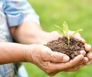  درست کردن کود گیاهی از پسماندهای میوه و سبزیجات در خانه 