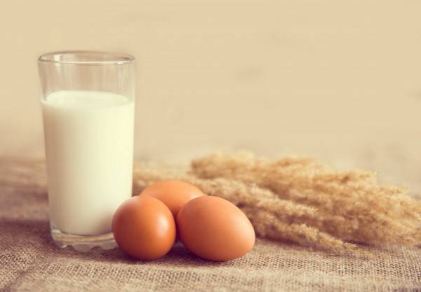 منابع غذایی اسید لینولئیک شیر و تخم مرغ