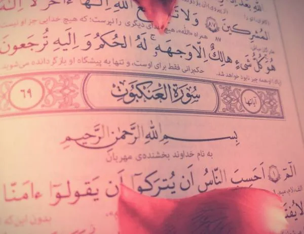 نزول سوره عنکبوت